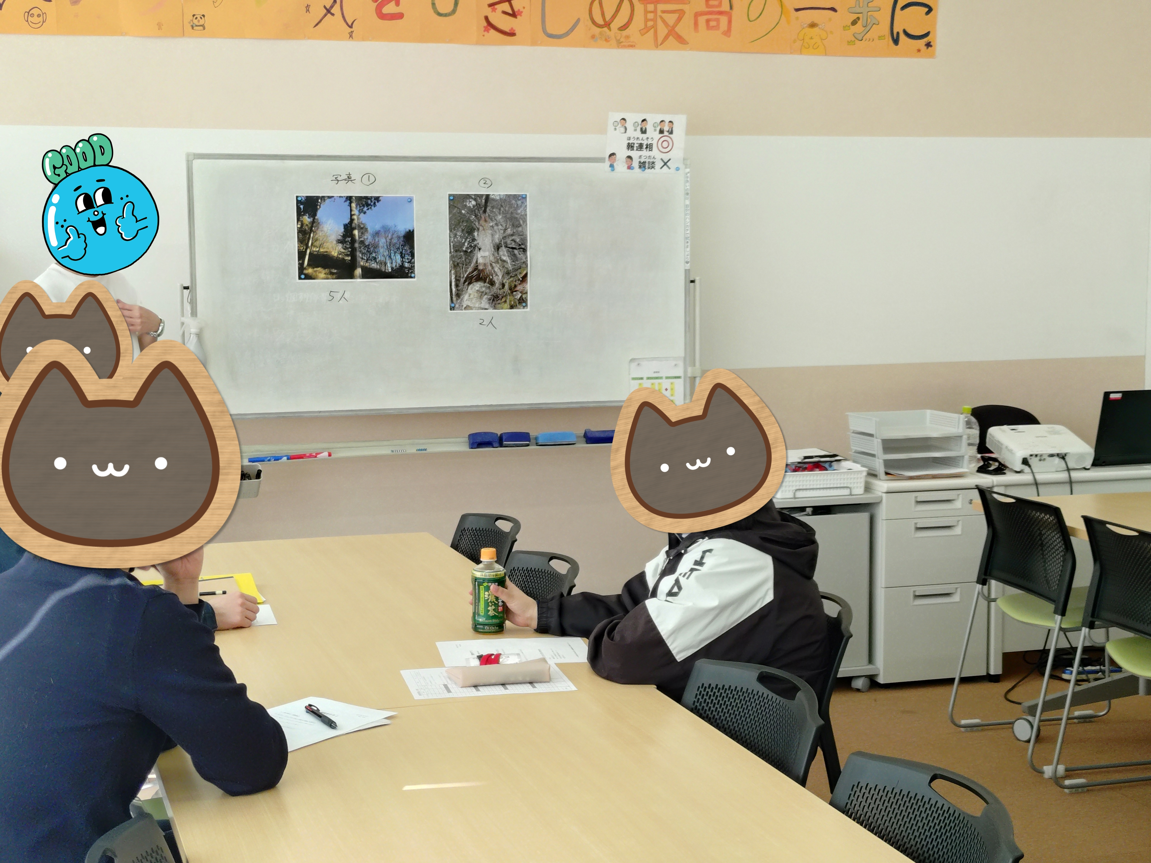 根性椹,カリキュラム