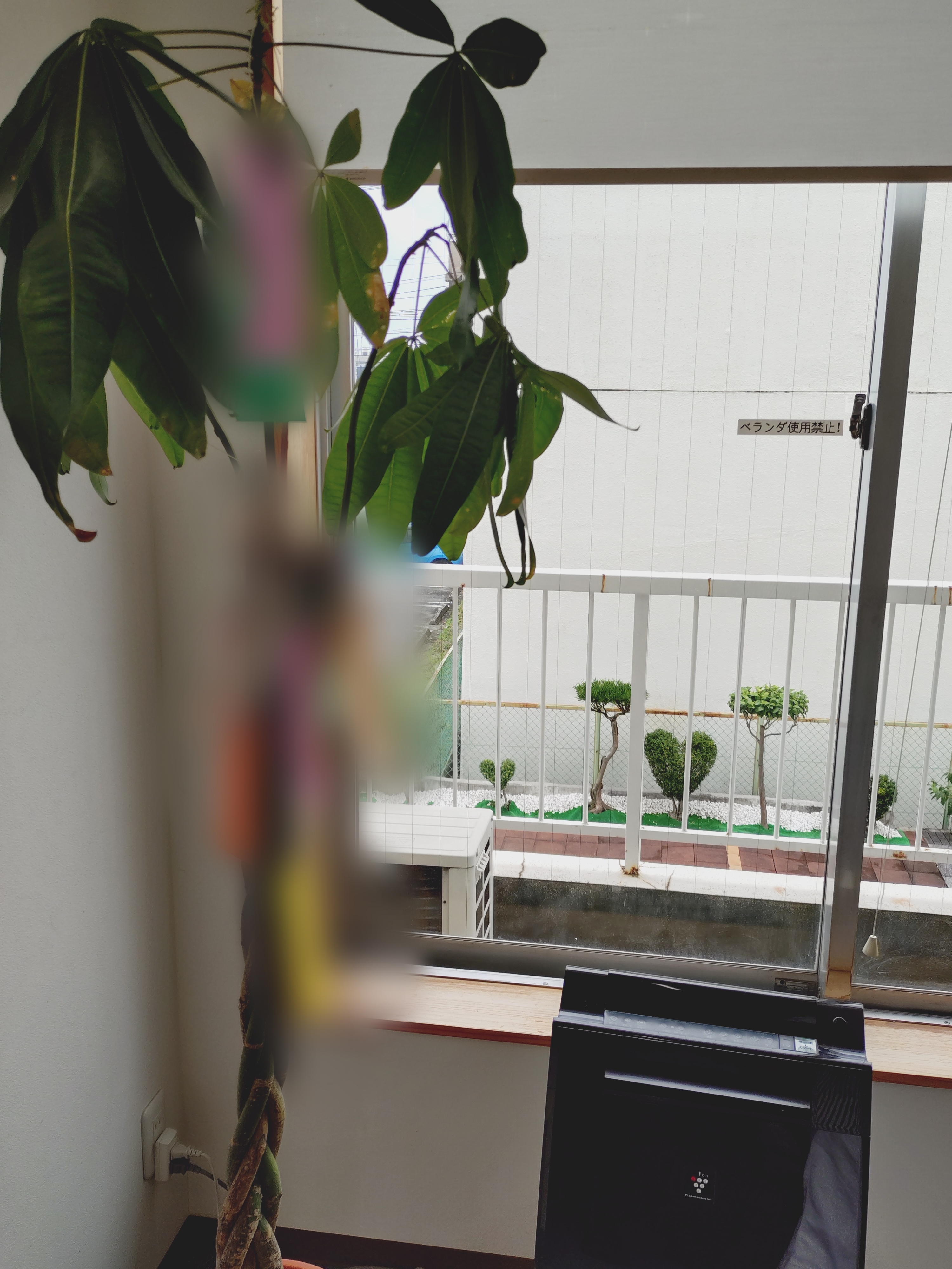 七夕,願いごと